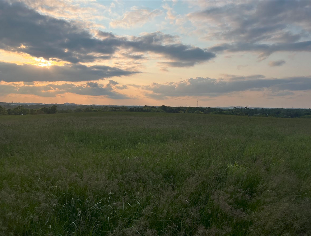 Canton Township The Dump to a Park?